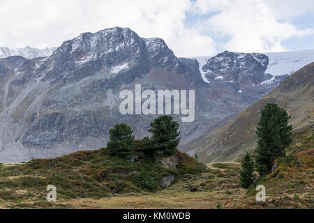 Montagnes, pics, la glace éternelle et arbres paysage. Kaunertaler Gletscher environnement naturel. La randonnée dans les Alpes, Gerlos, Tyrol, Autriche, Europ Banque D'Images