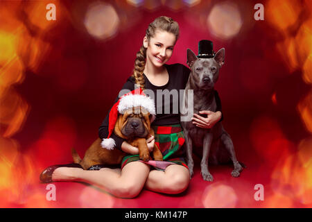 Jolie fille avec des chiens dans des chapeaux de Noël Banque D'Images