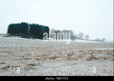 Paysage d'hiver dans les champs de neige, luxembourg Banque D'Images