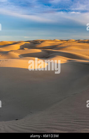 Dunes de sable de l'Oceano Dunes State Vehicular Recreation Area, Oceano Dunes Natural Préserver, côte de Californie, USA. Banque D'Images