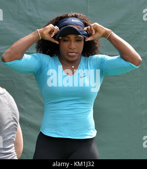 Serena Williams pour les pompes ouvertes, Miami Crandon Park Tennis Center, Miami, Journée Portes Ouvertes 23/03/2016. Banque D'Images