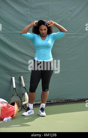 Serena Williams pour les pompes ouvertes, Miami Crandon Park Tennis Center, Miami, Journée Portes Ouvertes 23/03/2016. Banque D'Images