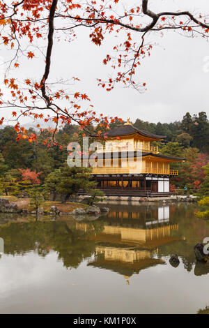 Feuilles d'érable rouge en automne au pavillon d'or, temple kinkakuji. la célèbre attraction touristique dans la région de Kansai, Kyoto, Japon. Banque D'Images