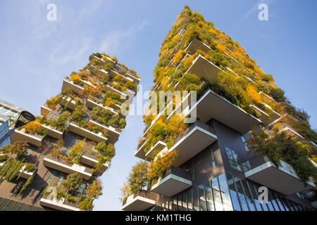 Milan, Italie, 11 novembre 2017 - 'bosco' verticale verticale, forêt en automne, appartements et bâtiments dans la zone 'isola' de la ville de Milan Banque D'Images