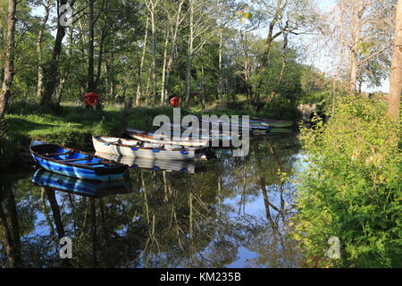 Rivière avec des bateaux sur une belle journée d'été en Irlande Banque D'Images