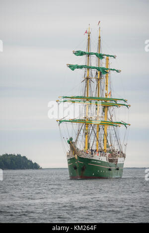 Barque Alexander von Humboldt 2 entre dans le port de Halifax. Banque D'Images