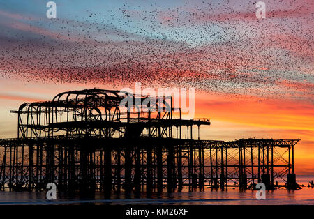 L'image artistique avec des effets de filtre d'étourneaux volant dans une masse énorme dans le ciel au coucher du soleil au-dessus du front de mer de Brighton et Hove en Angleterre. Banque D'Images