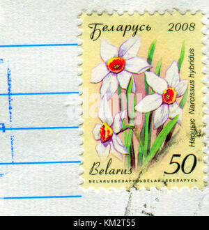 GOMEL, BÉLARUS, 30 NOVEMBRE 2017, Timbre imprimé au Bélarus montre l'image de l'hybridus Narcissus, vers 2008. Banque D'Images