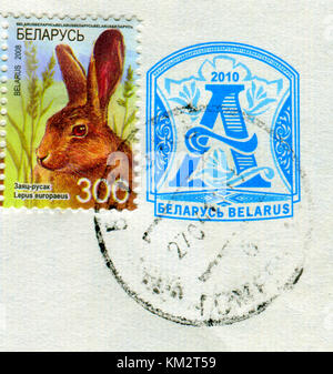 GOMEL, BÉLARUS, 30 NOVEMBRE 2017, Timbre imprimé au Bélarus montre l'image du Lepus europaeus, vers 2008. Banque D'Images