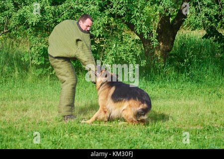 L'homme dans le costume est l'immuable du chien de mordre. Banque D'Images