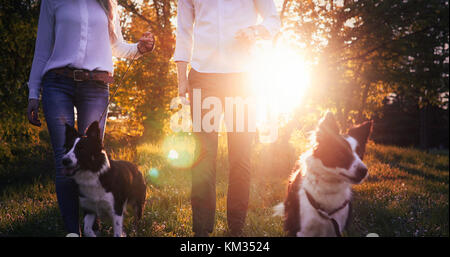 Beautiful couple walking dogs et le collage dans la nature Banque D'Images