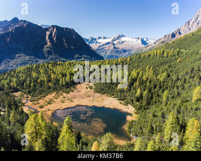 Forêt et lac en montagne, Alpes Banque D'Images