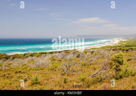 Les plages dans le parc national de Freycinet est un endroit populaire pour la pêche et le surf - Coles Bay, Tasmanie, Australie Banque D'Images