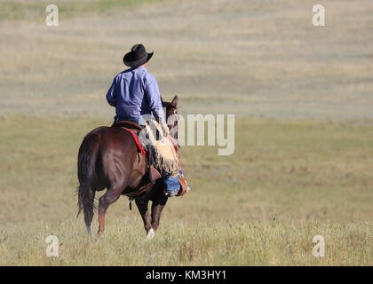 Un cowboy solitaire rides au-delà de la large prairie wyoming ouvert Banque D'Images