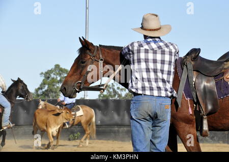 Mégots de Cowboy Banque D'Images