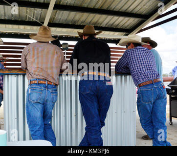 Mégots de Cowboy Banque D'Images