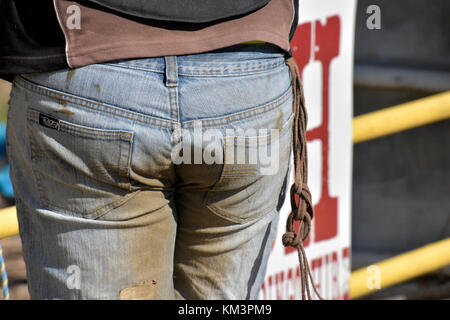 BUMS COWBOY DANS DUSTY BLUE-JEANS Banque D'Images