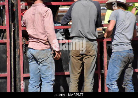 Mégots de Cowboy Banque D'Images