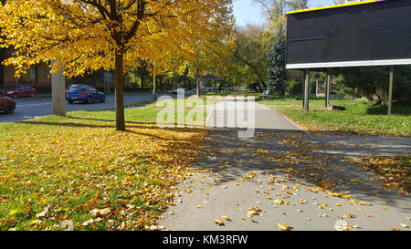 Affichage vide avec beaucoup d'espace de publicité sur un trottoir chemin d'automne avec des feuilles mortes et une route sur le côté de l'hiver Banque D'Images