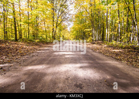 Sur la route de terre. Forêt d'automne avec chemin de terre diminuant à travers la belle forêt à l'horizon lointain. La Forêt nationale d'Hiawatha au Michigan Banque D'Images