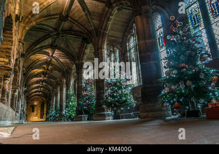 Les arbres de Noël sur l'affichage à la cathédrale de Chester, Royaume-Uni. Banque D'Images