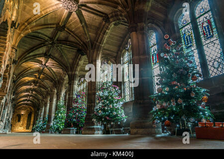 Les arbres de Noël sur l'affichage à la cathédrale de Chester, Royaume-Uni. Banque D'Images