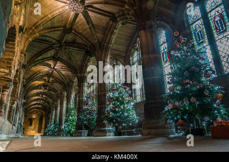 Les arbres de Noël sur l'affichage à la cathédrale de Chester, Royaume-Uni. Banque D'Images