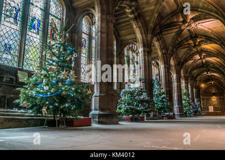 Les arbres de Noël sur l'affichage à la cathédrale de Chester, Royaume-Uni. Banque D'Images