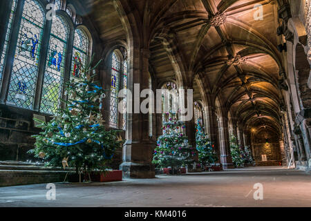 Les arbres de Noël sur l'affichage à la cathédrale de Chester, Royaume-Uni. Banque D'Images