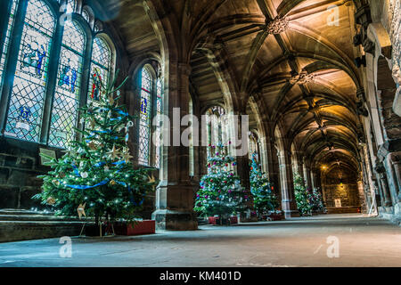 Les arbres de Noël sur l'affichage à la cathédrale de Chester, Royaume-Uni. Banque D'Images