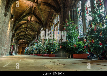 Les arbres de Noël sur l'affichage à la cathédrale de Chester, Royaume-Uni. Banque D'Images