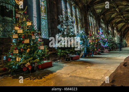 Les arbres de Noël sur l'affichage à la cathédrale de Chester, Royaume-Uni. Banque D'Images