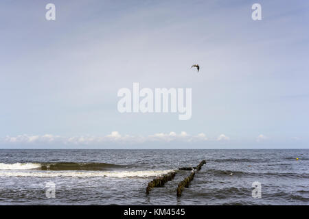 Un brise-lames sur la plage de mielno, Pologne 2017. Banque D'Images