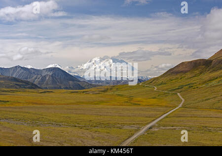 Denali vue dans la toundra dans le parc national Denali en Alaska Banque D'Images