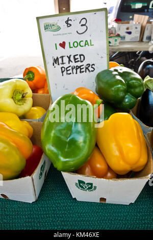 Poivrons frais locaux pour la vente au centre-ville de farmer's market à St.Catharines, Ontario, Canada. Banque D'Images