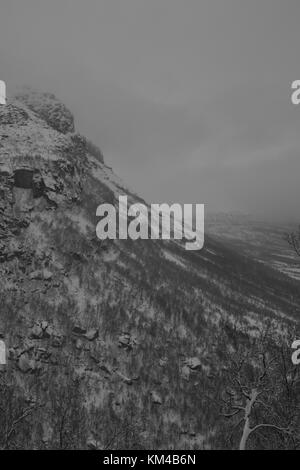 Noir et Blanc Hiver/Ladsacpe , forêt de montagne du nord de la Norvège, de la nuit polaire. Banque D'Images