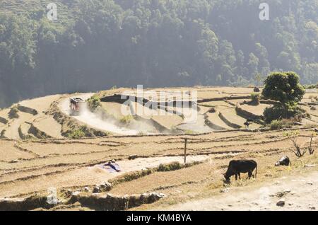 Un bus traverse une route qui traverse des champs en terrasses dans la région de l'Annapurna, dans l'ouest de l'Himalaya. (04.12.2016) | utilisation dans le monde entier Banque D'Images