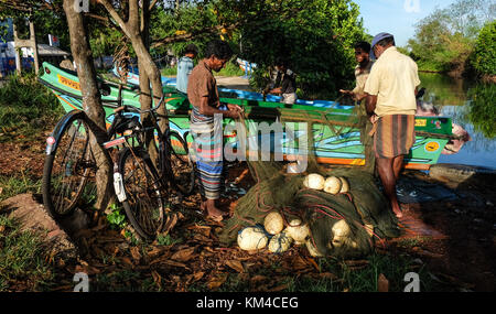 Colombo, Sri Lanka - Sep 5, 2015. Les hommes qui travaillent au village de pêche dans la région de Colombo, Sri Lanka. colombo est la plus grande ville et la situation financière et commerci Banque D'Images