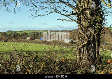 Deux voies dans une campagne du Devon près de Tedburn St Mary, Banque D'Images