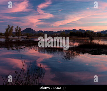 Coucher du soleil à le gray lodge de faune, Pennington, Californie, USA, avec des tons roses et reflets dans l'eau, et l'sutter buttes dans le Banque D'Images