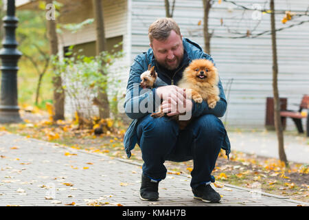 Homme sérieux avec terrier et poméranie in autumn park Banque D'Images