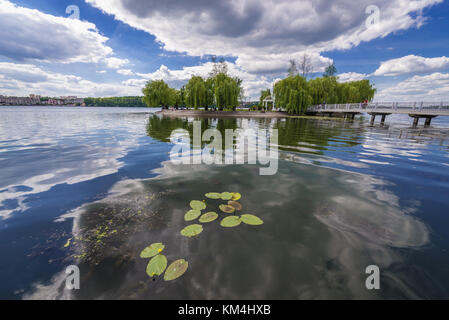 Bassin de Ternopil avec l'île dite d'Amour dans le parc de Taras Shevchenko dans la ville de Ternopil, centre administratif de l'oblast de Ternopil, Ukraine Banque D'Images