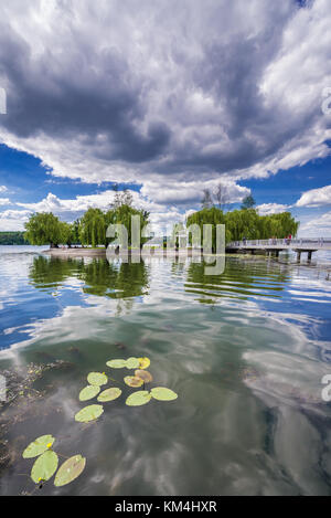 Bassin de Ternopil avec l'île dite d'Amour dans le parc de Taras Shevchenko dans la ville de Ternopil, centre administratif de l'oblast de Ternopil, Ukraine Banque D'Images