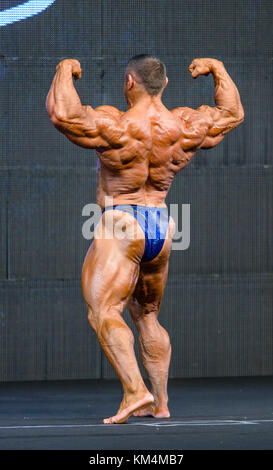 Daniel Toth, bodybuilder, kulturista Banque D'Images