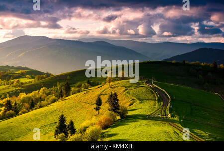 Route de campagne à travers collines verdoyantes au coucher du soleil. superbe printemps paysage rural dans les montagnes sous le ciel avec nuages rose Banque D'Images