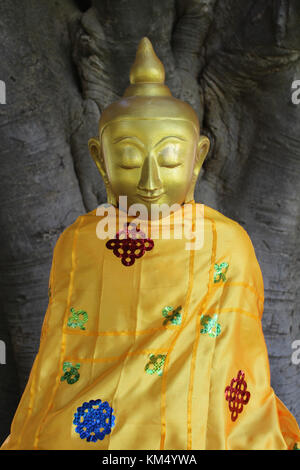 Le portrait d'une statue du Bouddha d'or méditer devant un vieil arbre énorme vêtus de robes traditionnelles orange. prises à Bagan, myanmar. Banque D'Images