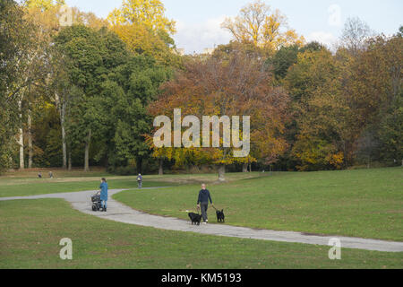 Femme pousse une poussette de bébé alors qu'un homme marche chiens dans l'Nethermead article de Prospect Park, Brooklyn, New York. Banque D'Images