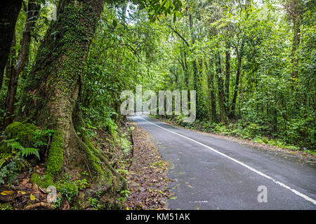 Route sinueuse à travers la forêt tropicale sur les pentes du mont Rinjani, volcan actif sur l'île de Lombok, Indonésie Banque D'Images