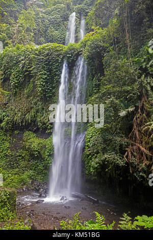 Air Terjun Sendang Gile cascade près de Senaru dans la forêt tropicale sur les pentes du volcan Rinjani, Lombok central, Indonésie Banque D'Images