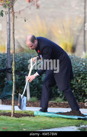 Le duc de Cambridge plante un cerisier dans le jardin commémoratif de la police métropolitaine pour commémorer sa visite où il a assisté à la parade du Metropolitan police Service, pour marquer la remise des diplômes de 182 nouvelles recrues de l'Académie de police du met à Hendon. Avec la participation des artistes : Duke of Cambridge, Prince William où : Londres, Royaume-Uni quand : 03 nov. 2017 crédit : John Rainford/WENN.com Banque D'Images